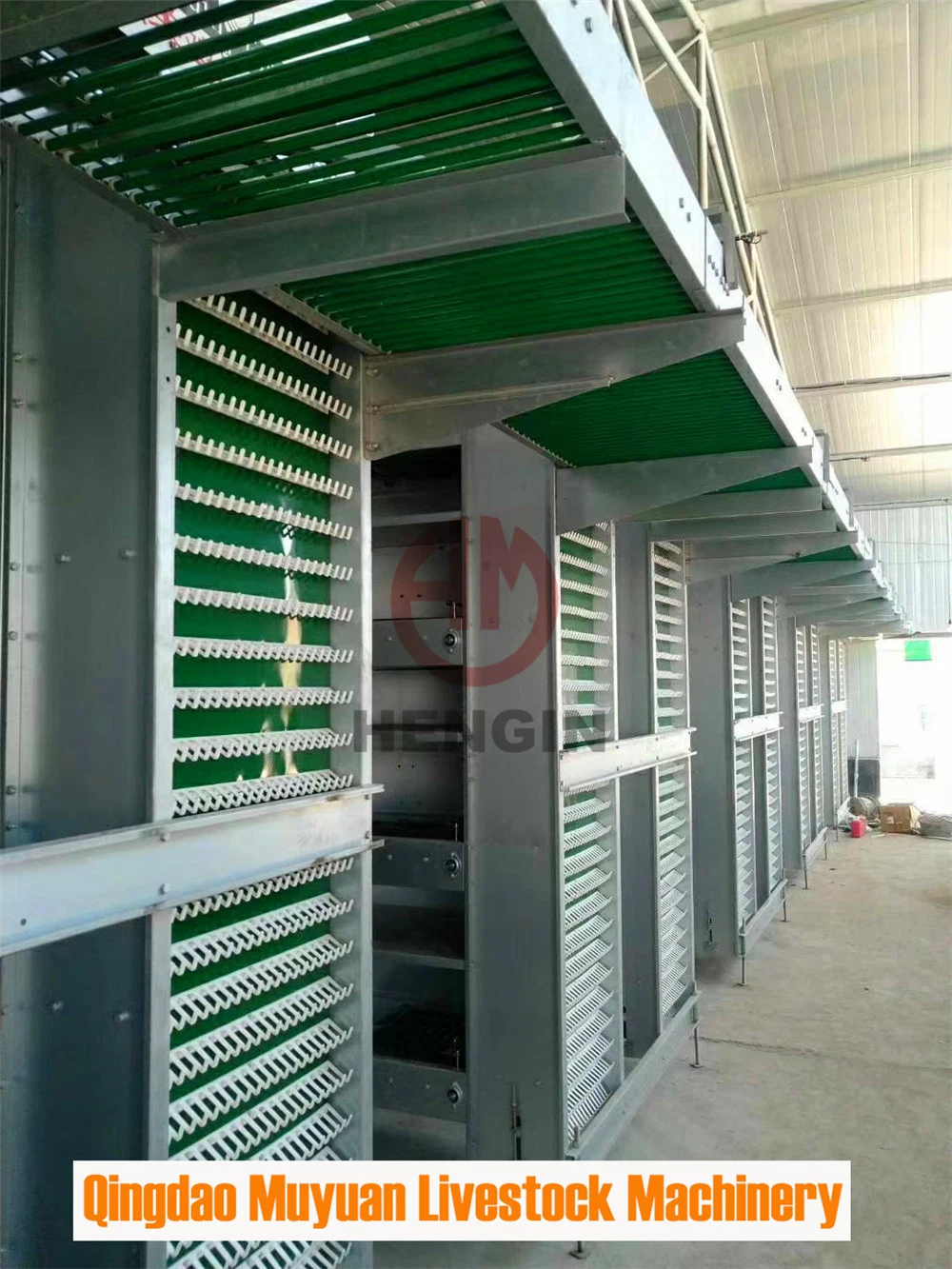 H Type Poultry Farm Livestock Machinery for Chicken Cage System