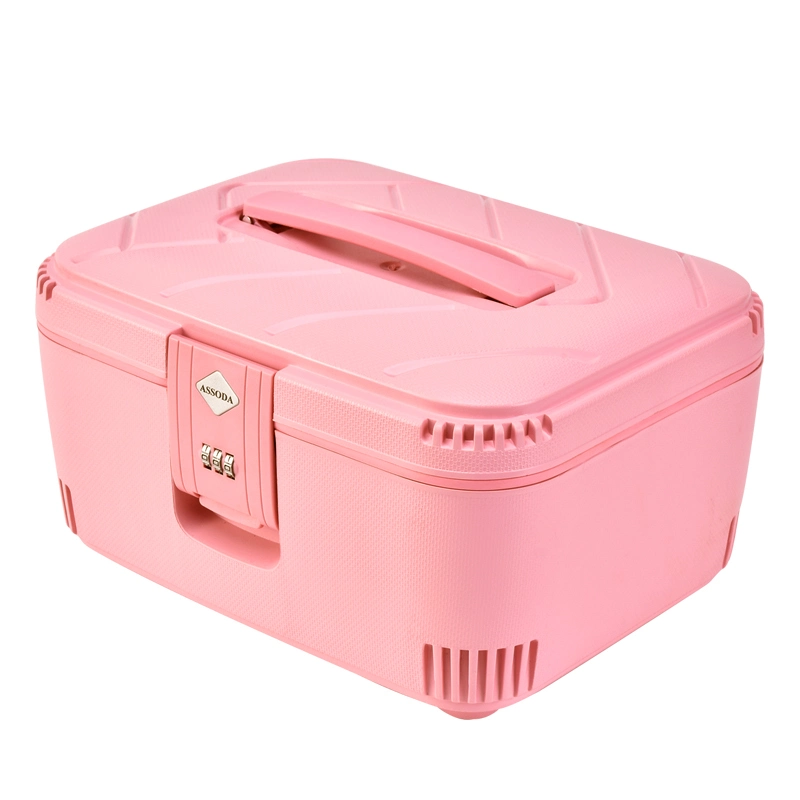 Mineral Make up Box, 2022 New Style Beauty Case for Travel, Safe Coded Makeup Products Case