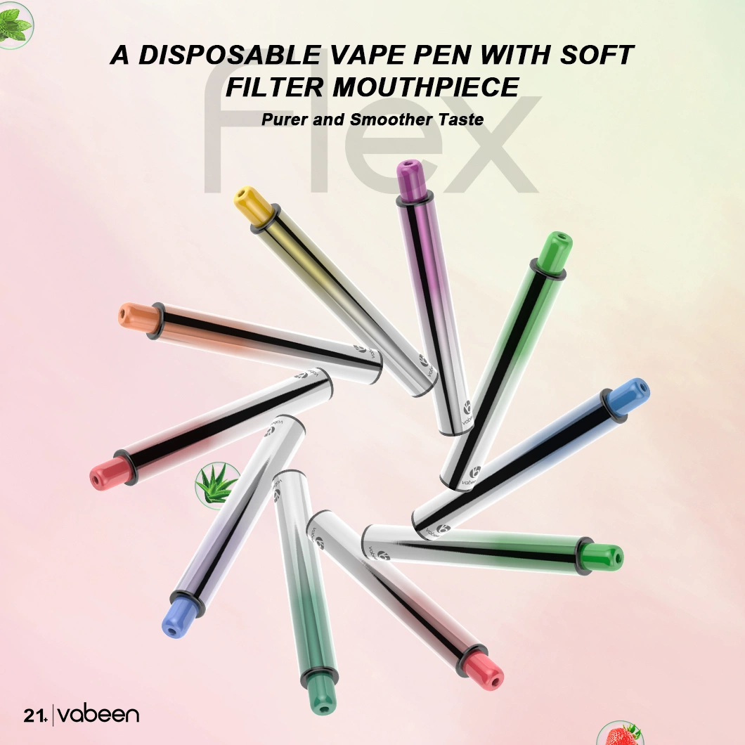 Vabeen Mini Electronic Cigarette with Custom Logo 500 Puffs 2.5ml Disposable/Chargeable Electronic Vape Pen