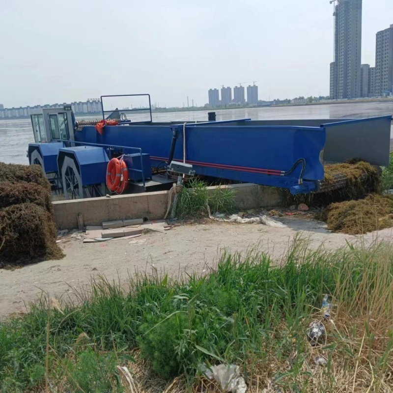 China Fluss und Teich Aquatic Weed Harvester im Meer verwendet