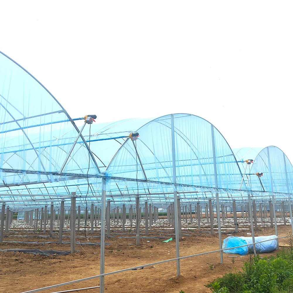 Anti-UV de efecto invernadero de plástico agrícola Film para hortalizas y flores y frutas con buen rendimiento óptico/aislamiento térmico.