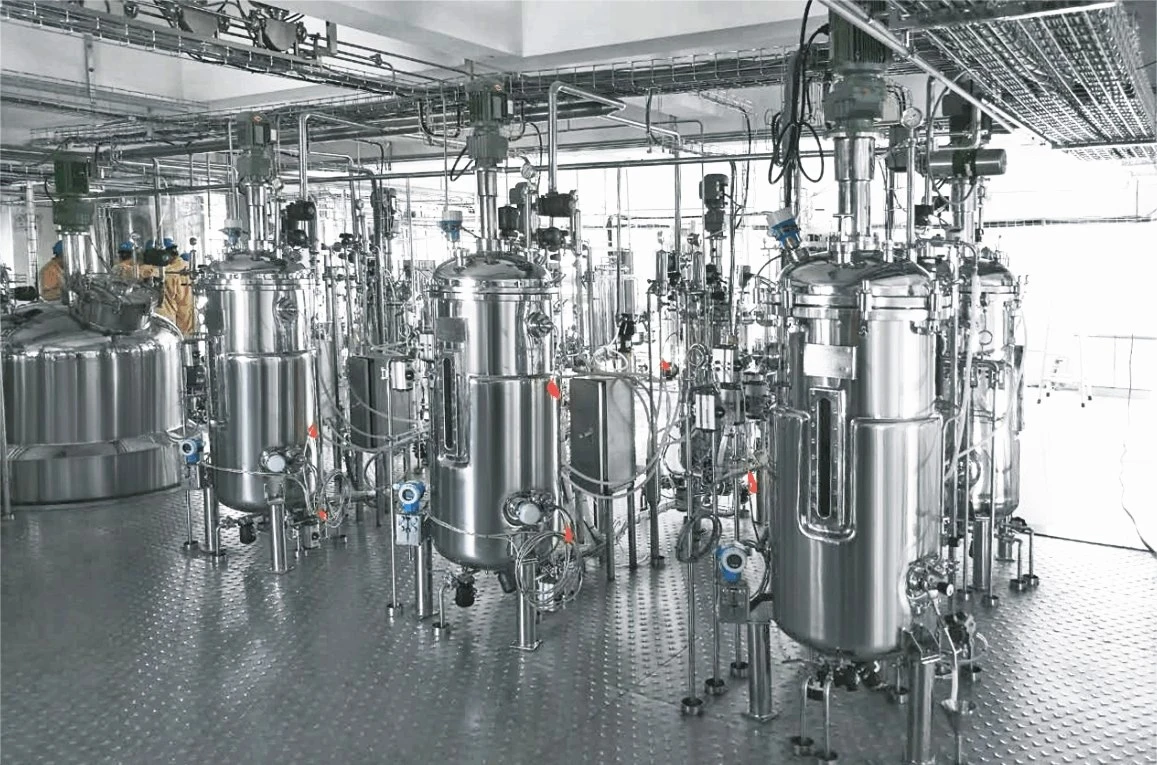 Stainless Steel Fermentation Mixer Machinery Bio Fermenter Microbial Fermentor for Microbial Fermentation