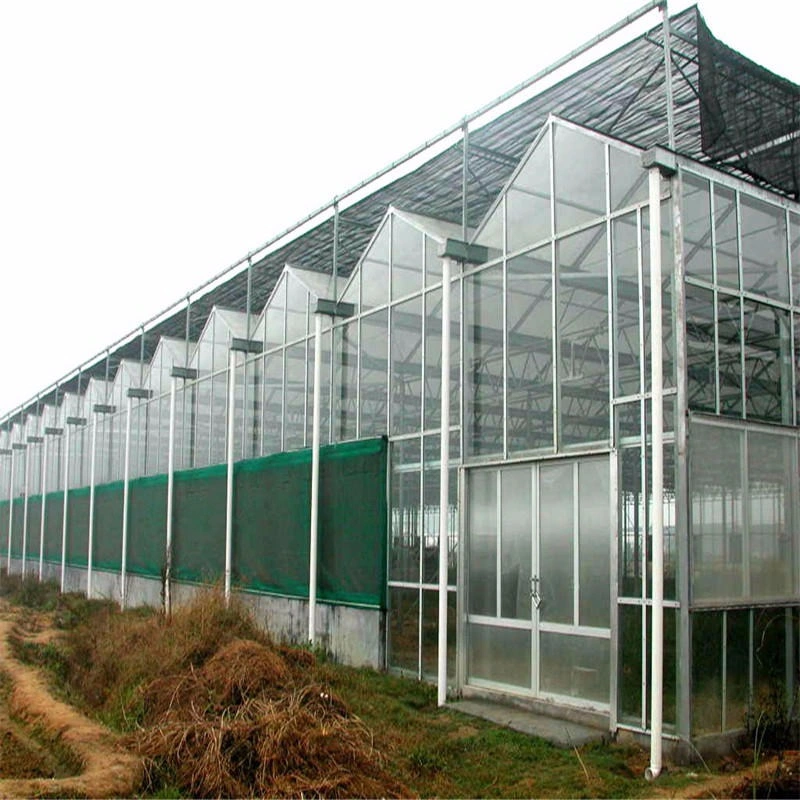 Commercial Glass Greenhouse with Climate Control System