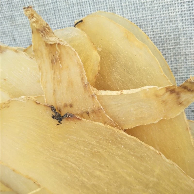 Tian Ma por grosso China Gastrodia Rhizoma Gastrodiae secas derivadas de raiz para o reumatismo