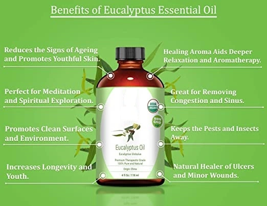 Famous Brand Refreshing Eucalyptus Oil Uses Synthetic Flavour &amp; Fragrance Type Eucalyptus Oil