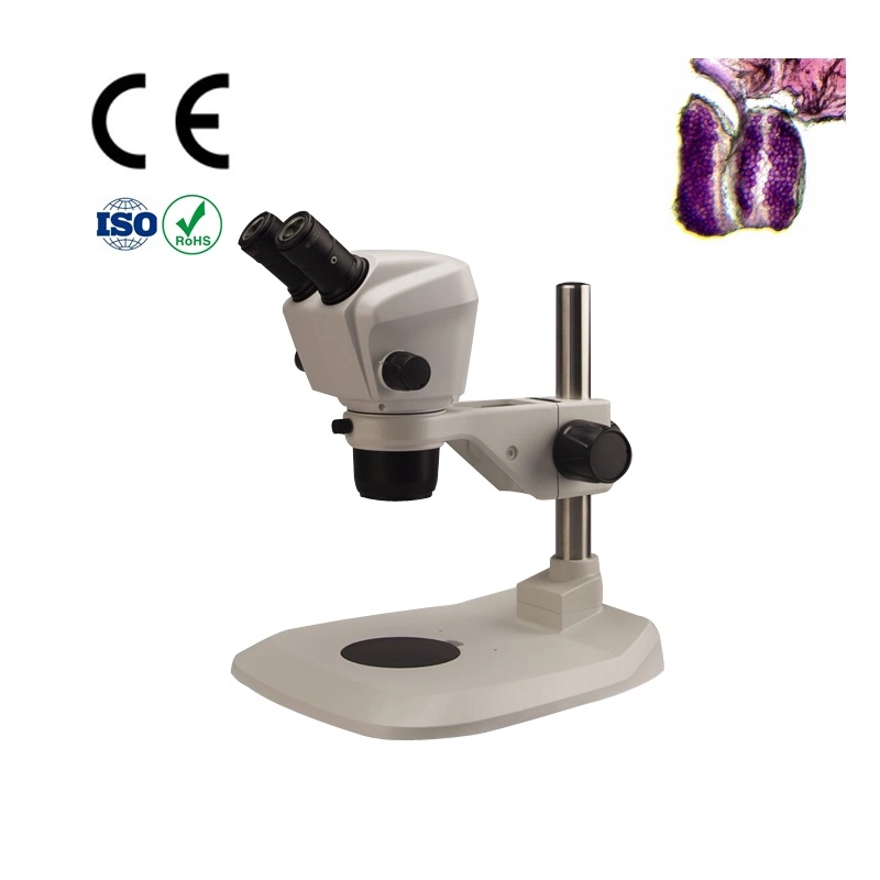 Optical System Olympus Zoom-Stereo Microscope 7~45 X No Light Source