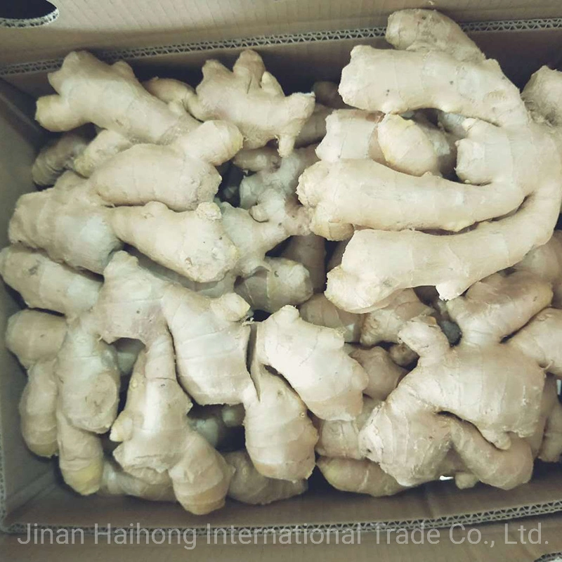 Le gingembre frais organiques secs Prix à partir de Shandong