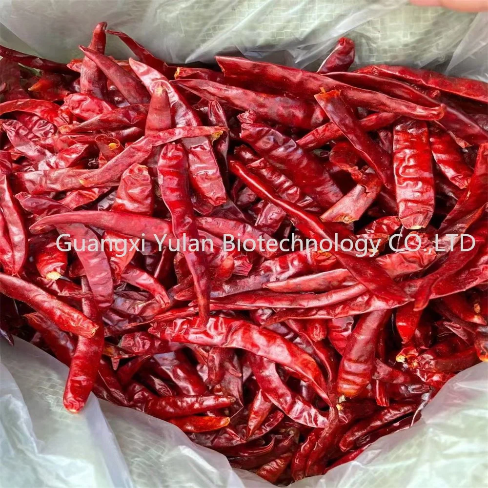 Factory Supply Dry Spices Red Chilli Food Grade Cooking Spices