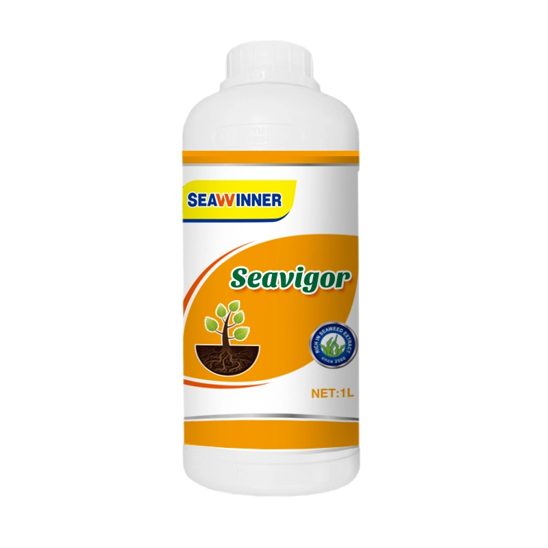 Seavigor Concentrated Pure Seaweed Extract