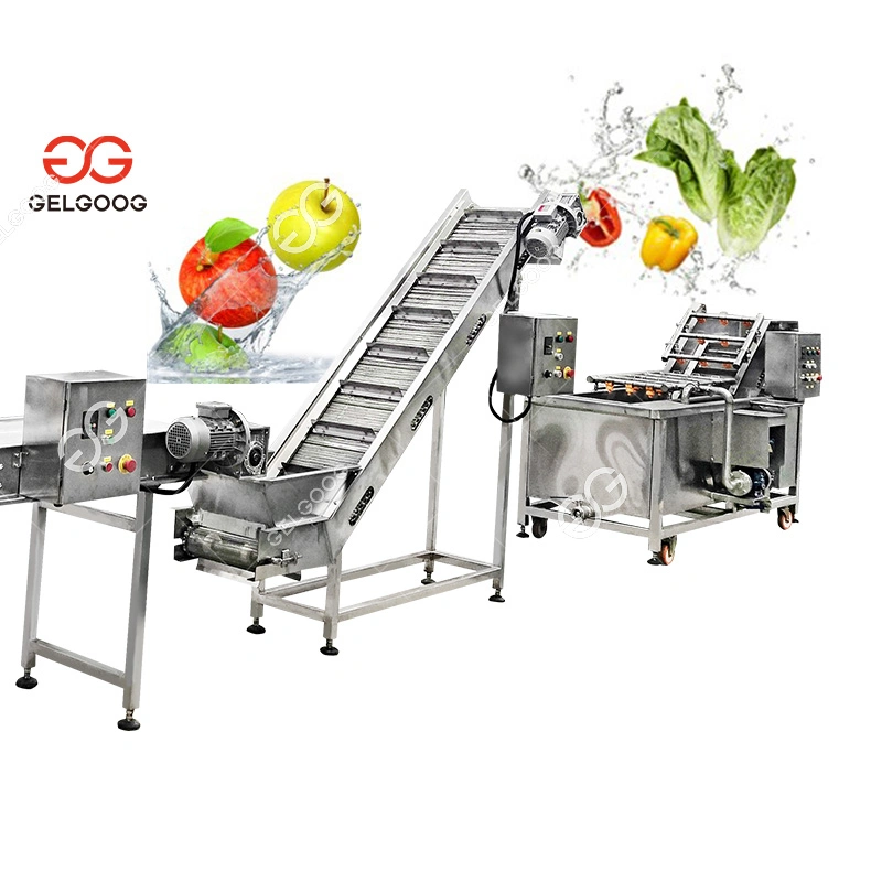 Gelgoog Guangzhou Automatic Apple Orangel Lemon Fruit Cleaning Machine Sugar Beet and Vegetable Washing Equipment