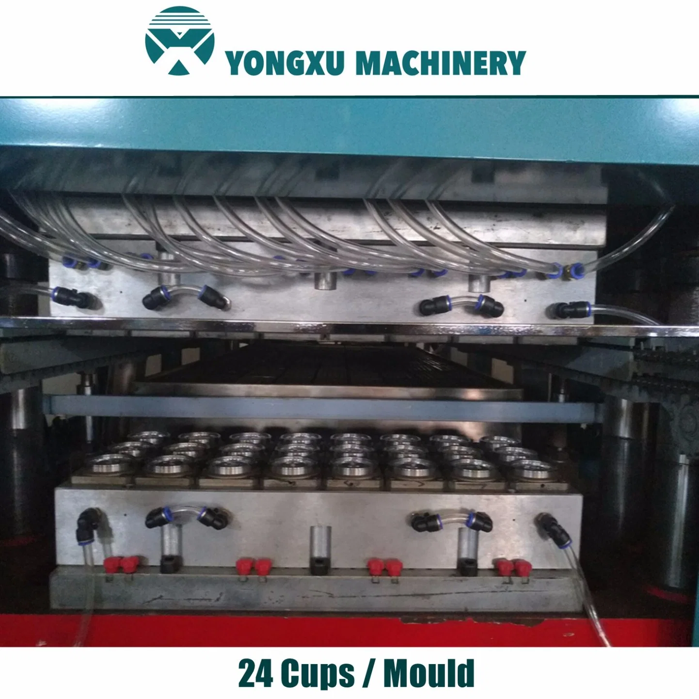 Molds for Making Plastic Cups/Water Cups/Flower Pots/Coffee Cups/Trays/Lunch Box Thermoforming Machines (3 LINES)