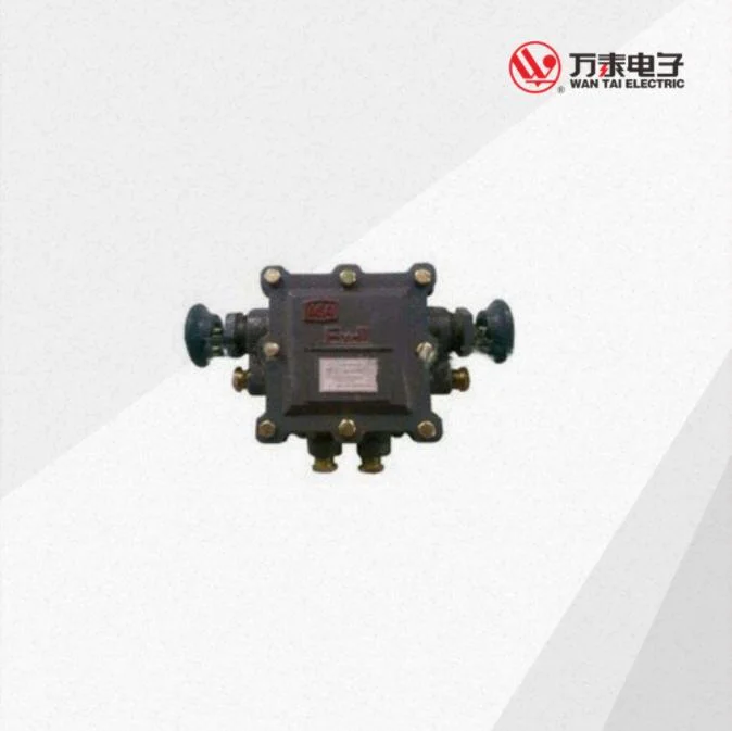 Bhd2 Series Low Voltage Cable Connection Box Explosion-Proof Junction Box