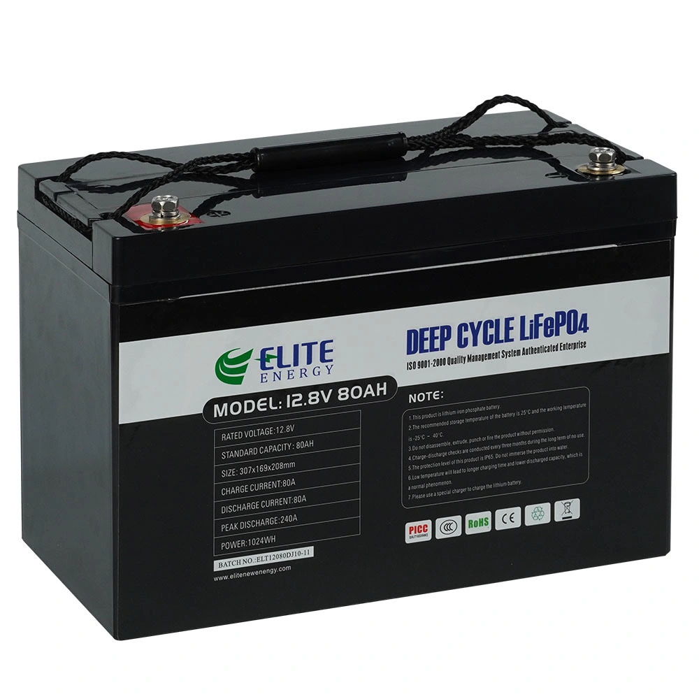 Elite DC Power Supply 12 V 80AMP 1000 Watt LiFePO4 Lithium Iron Battery with Built-in BMS