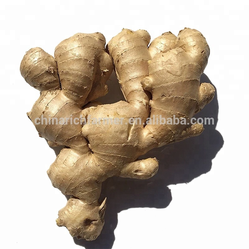 Air Dry Ginger 200g Size Good Quality Ginger Prices