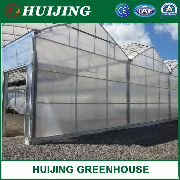 High quality/High cost performance Multi Span Film Po/PE Plastic Agriculture Green House Solution