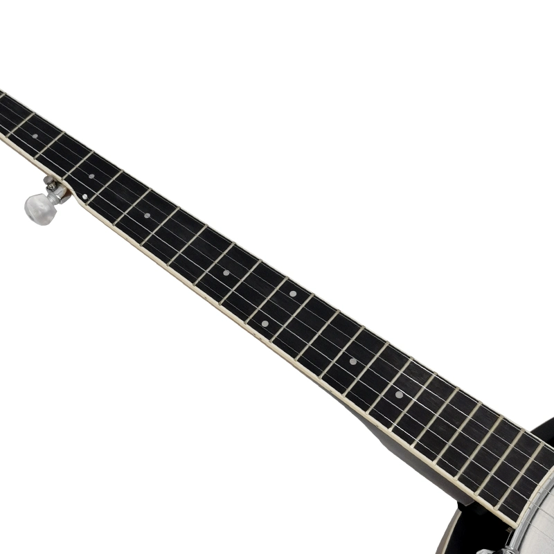 Aiersi High quality/High cost performance Developed 5 String Banjo for All