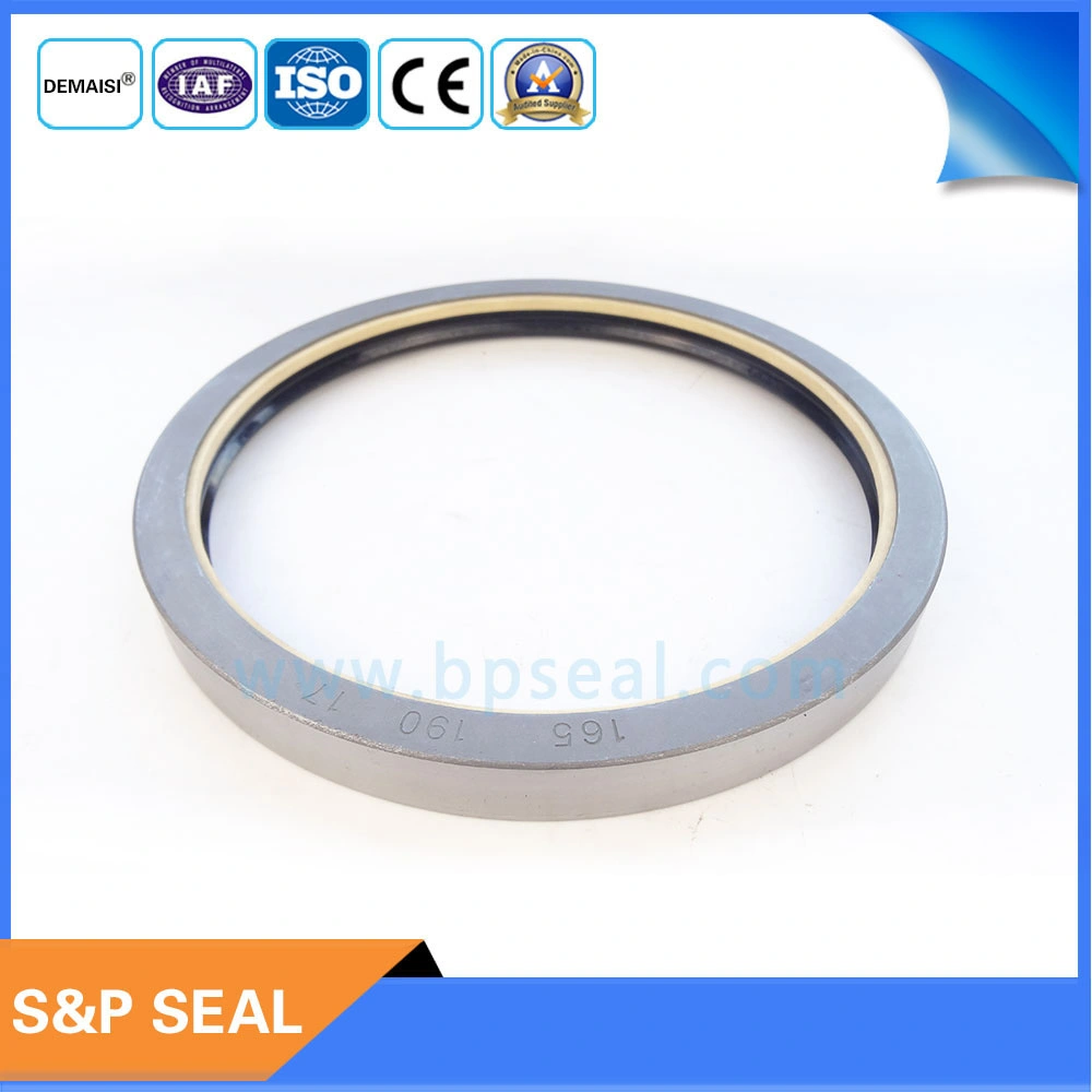 Demaisi 165*190*17 Combi Oil Seal 12001925b for New Holland Tractor Spare Parts