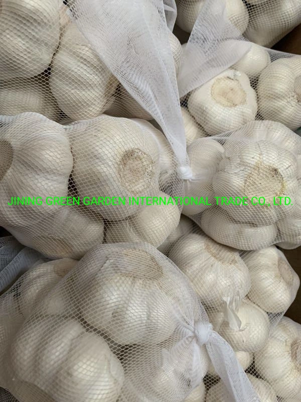 2021 New Crop Fresh White Garlic From China Mosquto Coil Cheak Peace Supplier in Australia China Garlic Cheep Price in Thailand