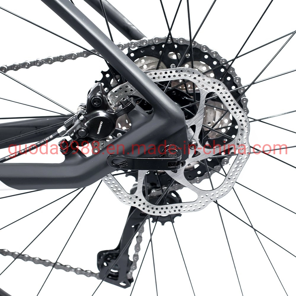 La fibra de carbono Bicicleta Mountain Bike 22 Velocidad bicicleta MTB OEM