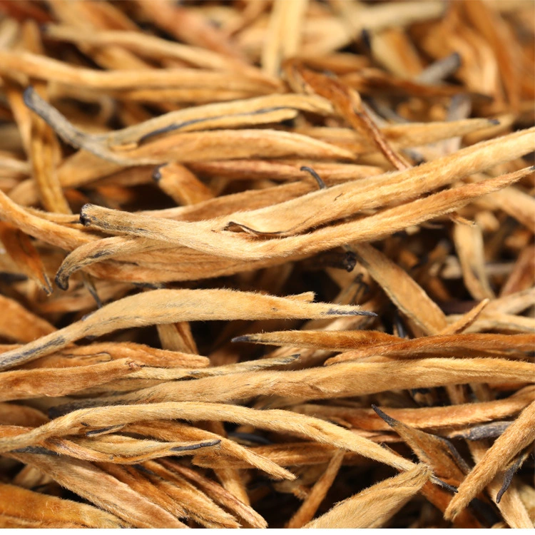 Yunnan Dianhong Golden Bud (Jinzhen) Black Tea