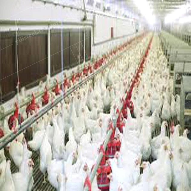 Africa Light Steel Keel Manufactured Modern Modular Poultry Farm