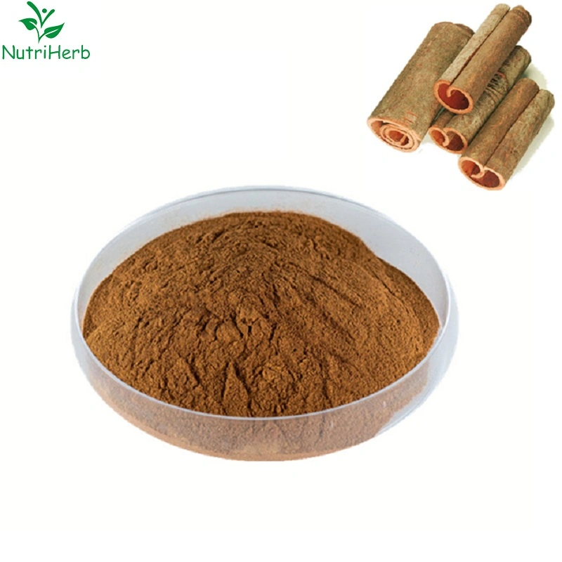 100% Herbal Extarct Canela en polvo 10: 1 de la especificación de Ceylon Cinnamon extracto de corteza en polvo