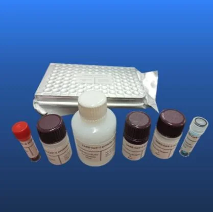 CE FDA Approved PCR Elisa Kit Transplant Factory Supply for Hospital Clinic Lab Use