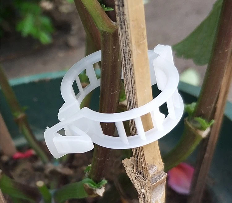 Hydroponic Metal Support Hook Watermelon Grafting Clip