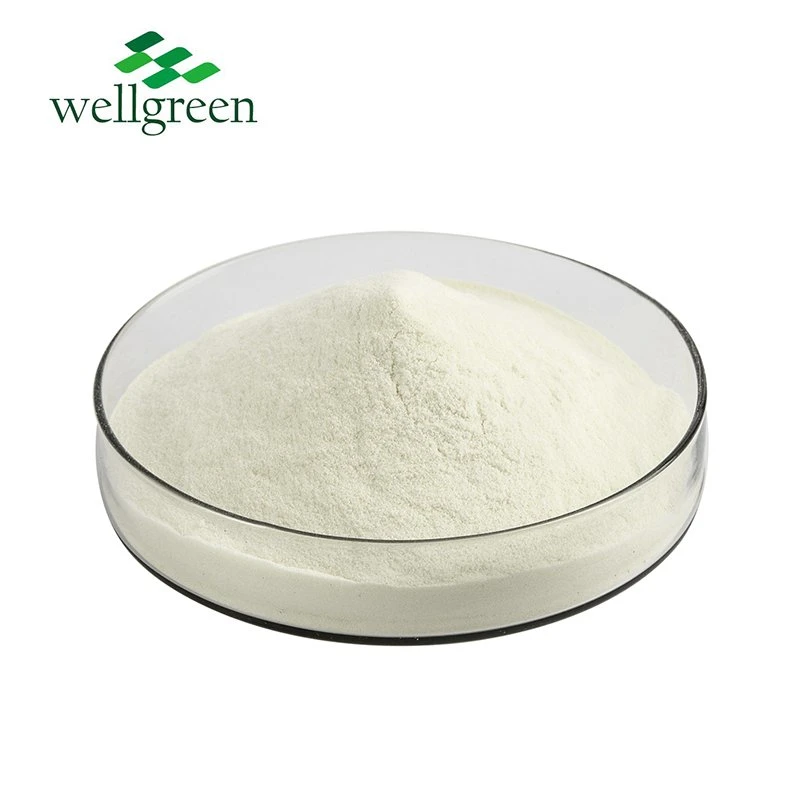 Food Grade Soybean Extract Powder Plant Sterol 98% Stigmasterol CAS No. 83-48-7