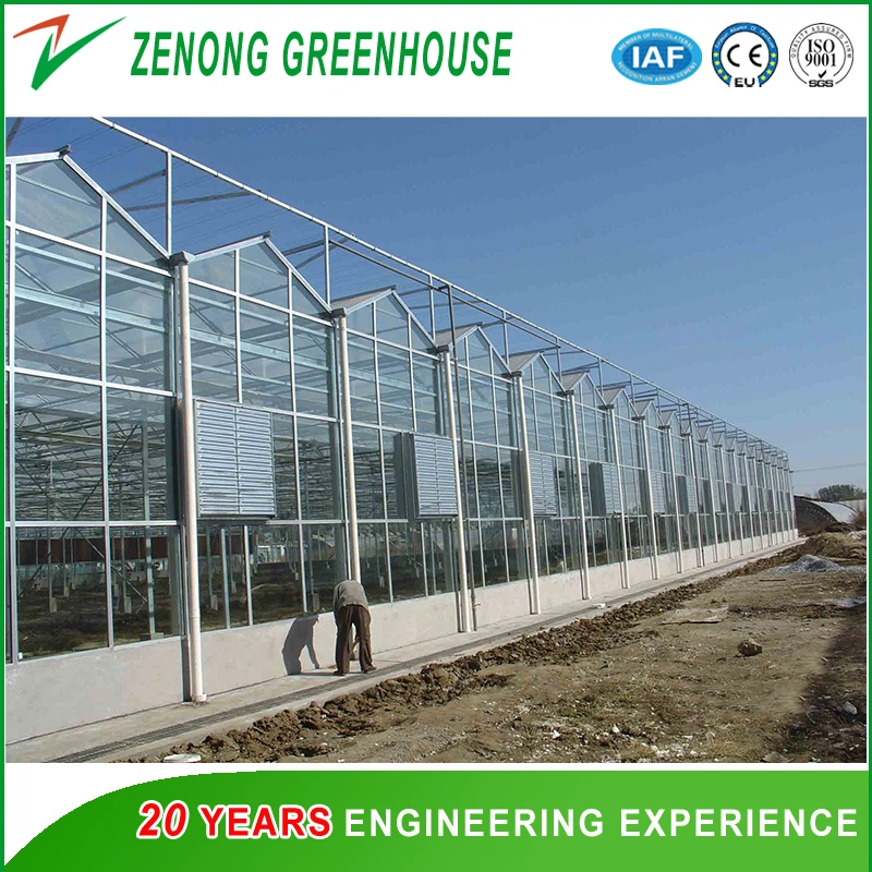 New Style Float Glass Multi-Span Greenhouse with Automatic Control system for Toursim/High-Tech Display/Ecological Picking