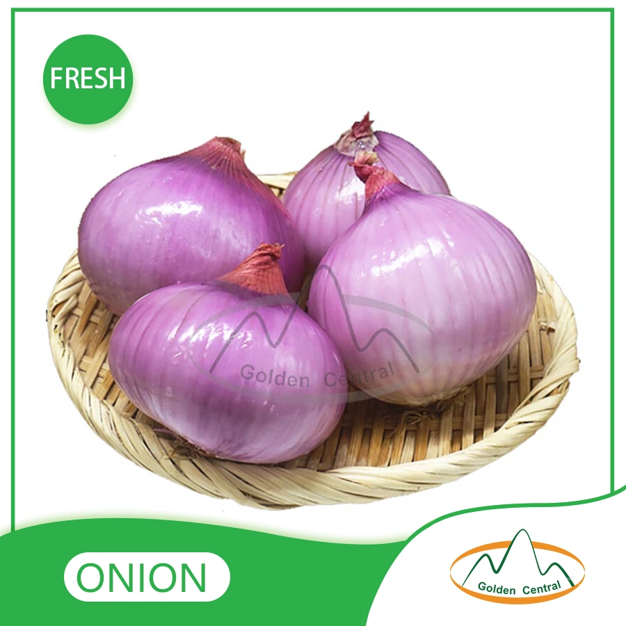 Low Price Fresh Yellow Onion