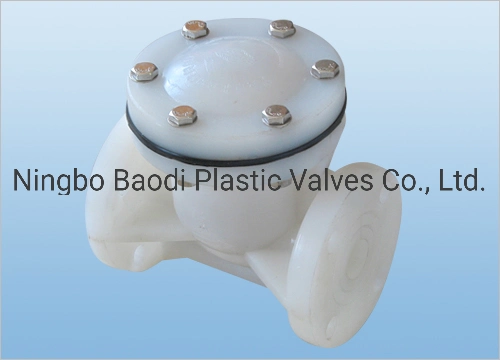 PVDF Check Valve, Swing Type