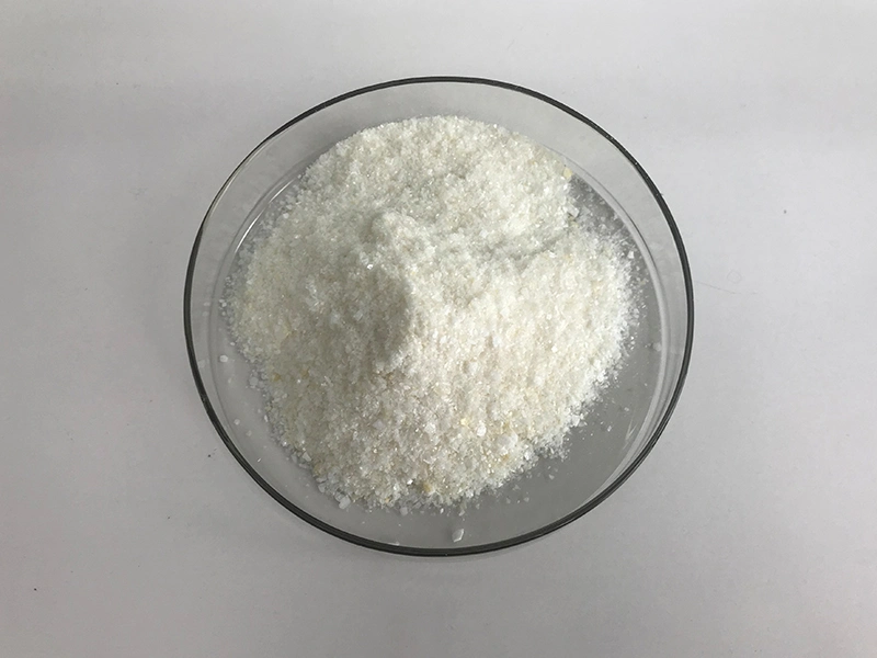 ISO Certified Manufacturer Supply Cholesterol Powder