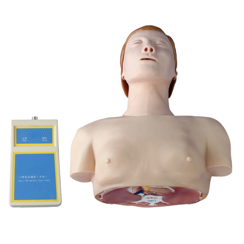 Maniquí médico de PVC Mecan para modelos humanos completos RCP en niños Maniquí con RoHS de alta calidad