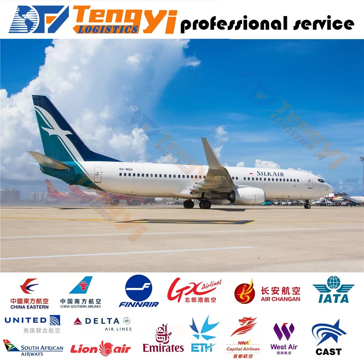 China Professional and Reliable Air Freight Forwarder Service to Pago Pago Samoa Orientales