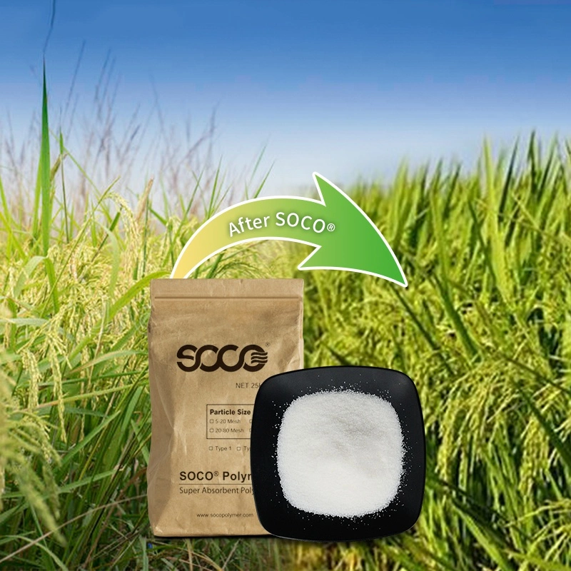 Safety and Non-Toxic Potassium Polyacrylate Agricultural Seed Coating Polymer Eco-Friendly to Increase Production