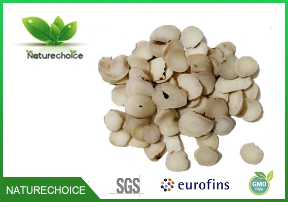 White Peony Root, Manufacturer Natural Radix Paeoniae Root Extract Powder, 30% Peaoniflorin for Cosmetics