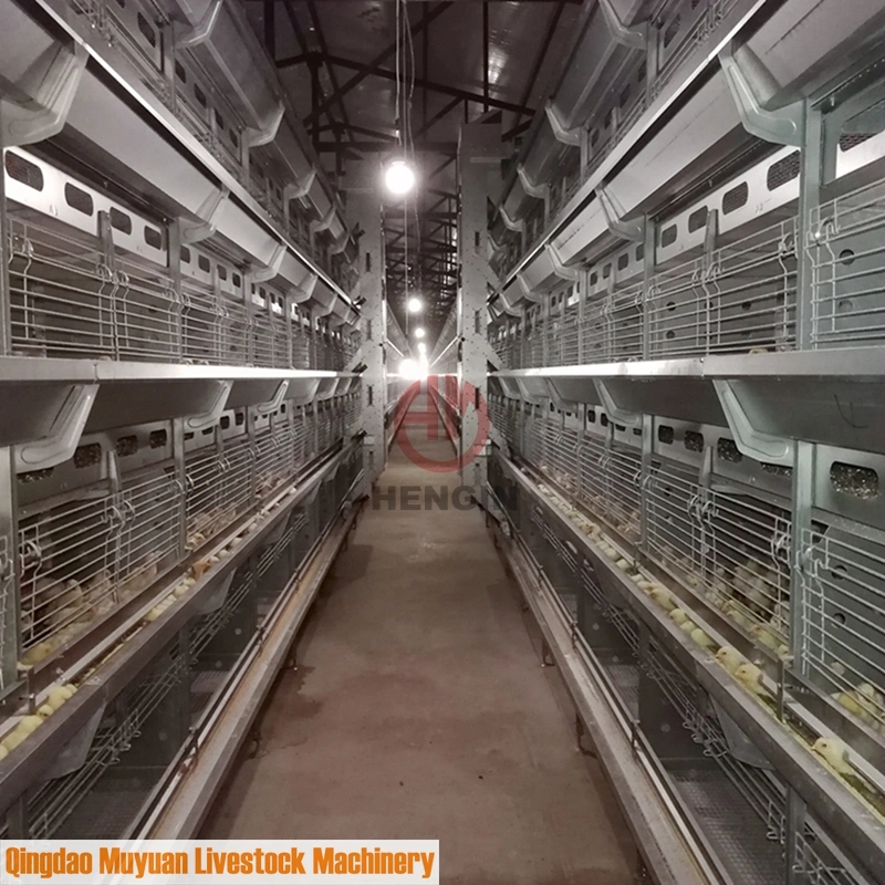 Poultry Farm Layer Pullet Coop of Baby Chicken Livestock Machinery