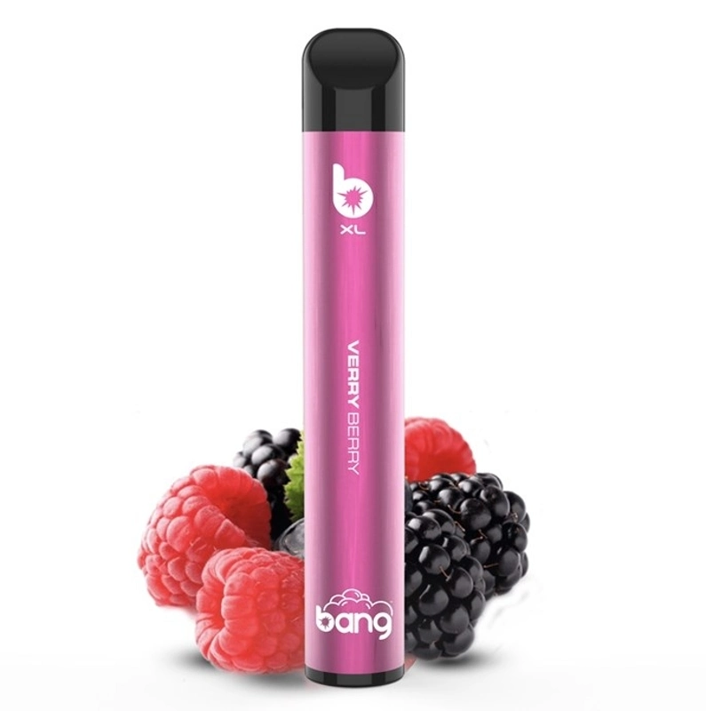 Fábrica Atacado Bang XL 500 Puffs descartáveis Pape CIG 2 ml