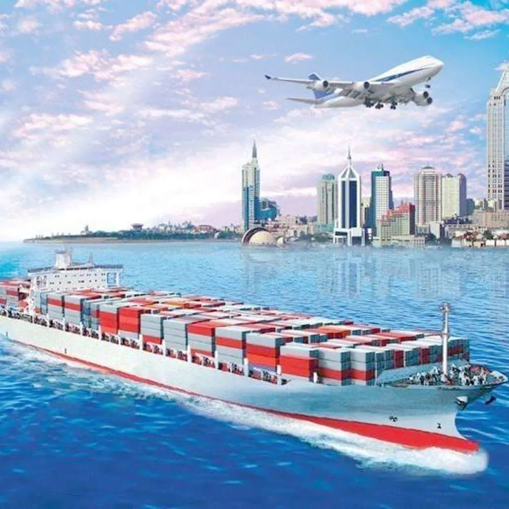 China Shipping Agent to USA Amazon Warehouse by Sea Cargo DDP Service