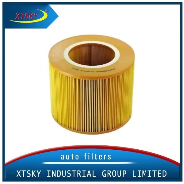 Hot Sale China Supplier Auto Parts Air Filter (C18143)