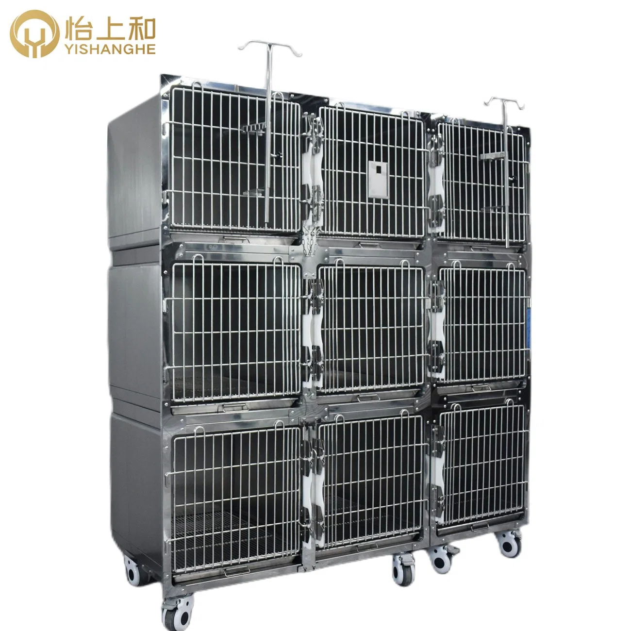 Équipement vétérinaire acier inoxydable chien cage d'oiseau hôpital oxygène Cage de la chambre