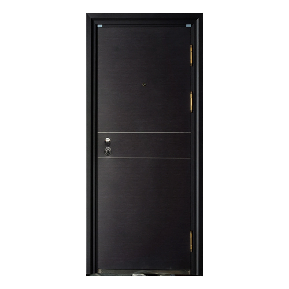 Fire Rated Craft Shock-Resistant Tight Stable Colorfast Flame Retardancy Steel Security Door