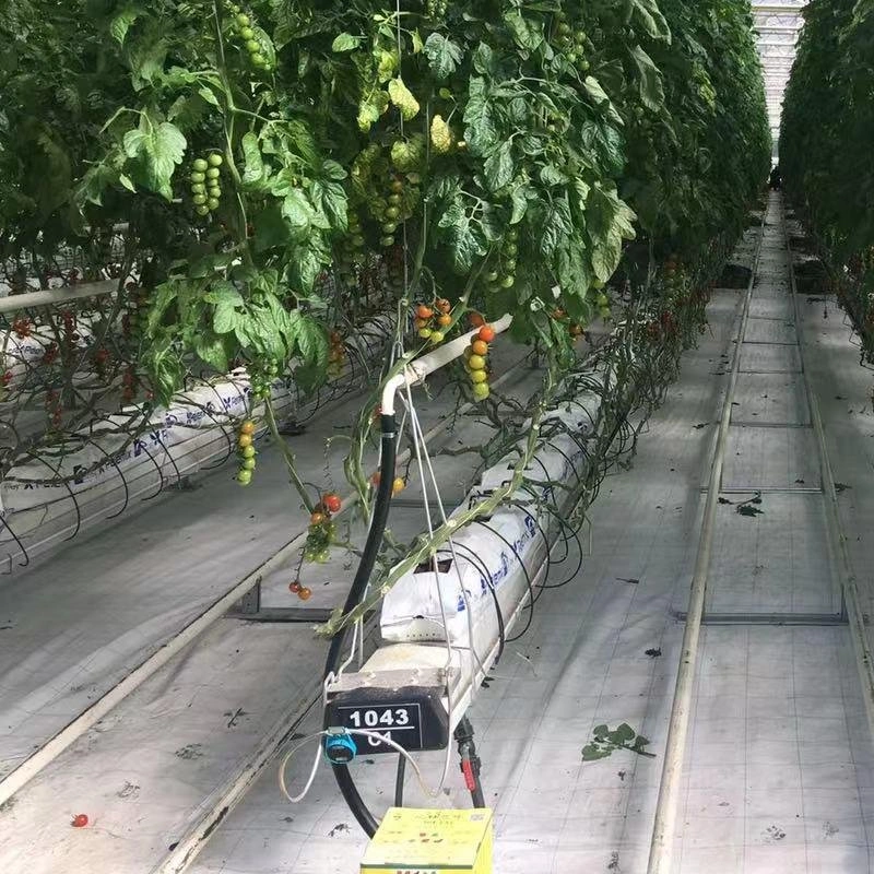 Plantando sistemas de crecimiento hidropónico barrancos PVC NFT Canal de canal de la mantequilla