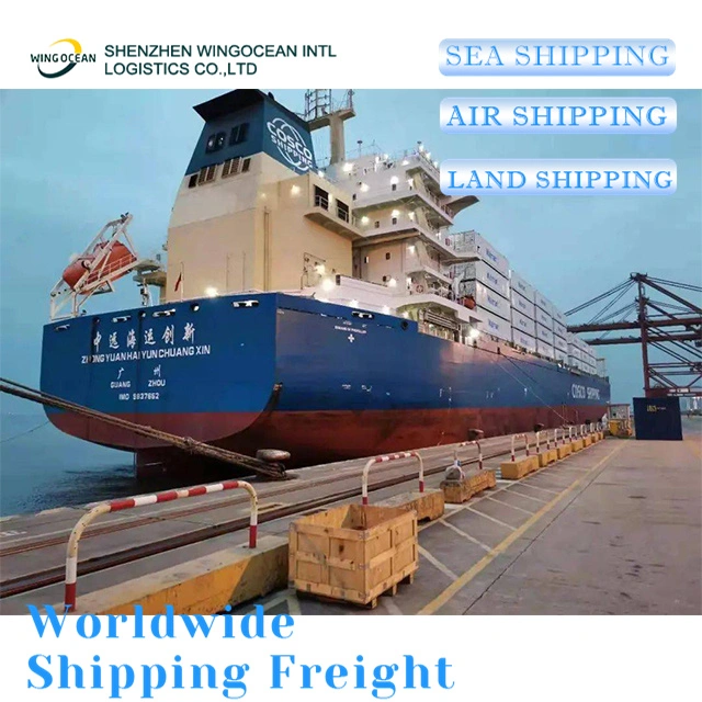 Reliable Excellent China DDP Sea Shipping Door to Door Delivery Logistics Freight Forwarder Shipping From China to Dubai/ Saudi Arabia/ Kuwait