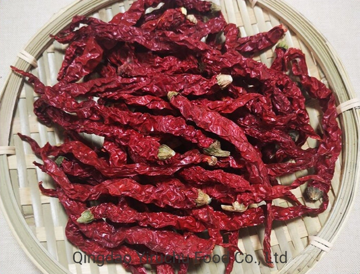 Good Price Sweet Paprika Dry Red Chilli