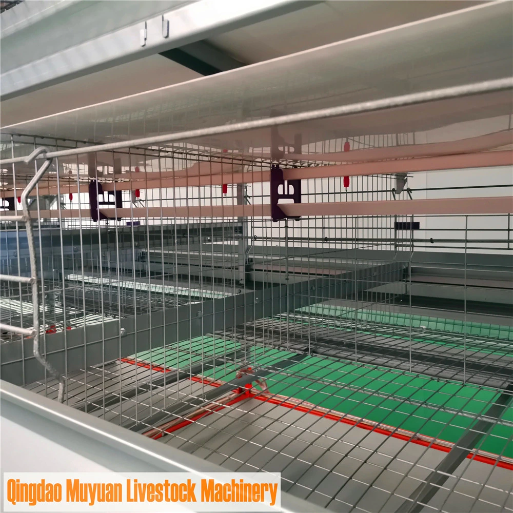 Modern Design Galvanized Automatic H Type/ Battery 4 Tier African Chicken Hen Layer Cage for Livestock Poultry Farm/Framing Equipment