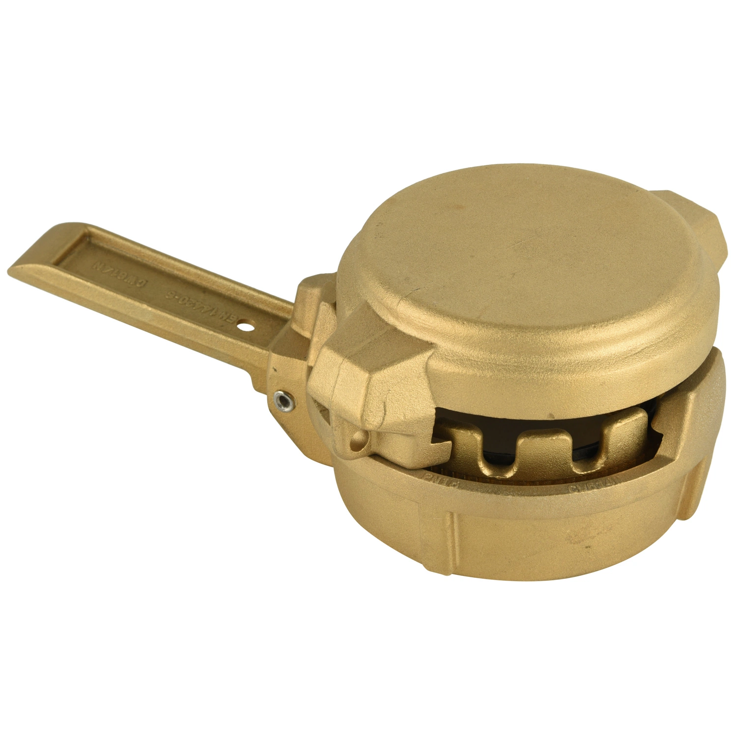 Brass Stainless Steel DIN2817 Clamp and Coupling