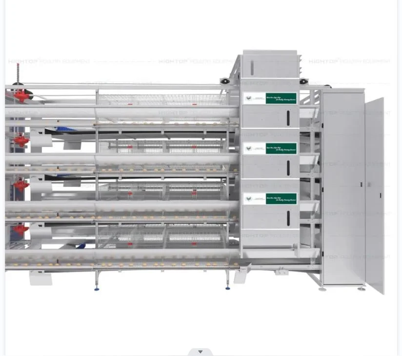 Tailandia Avicultura Granja Tipo H cría sistema automático batería huevo Jaula de capas