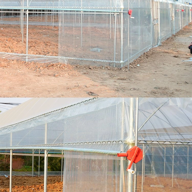 Anti-Mist Pope Plastic Ultraviolet-Proof UV Film for Greenhouse